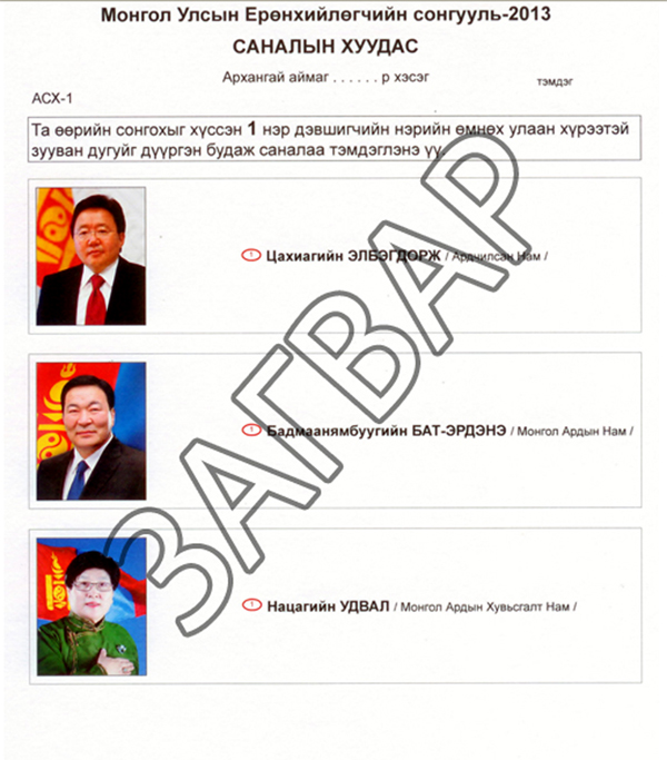 President election 2013 election page